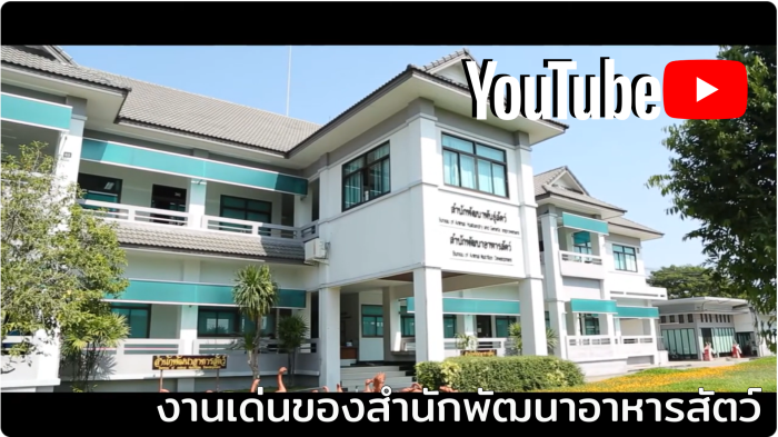 06รายการปศุสัตว์สวัสดี ตอนที่ 6 งานเด่นของสํานักพัฒนาอาหารสัตว์