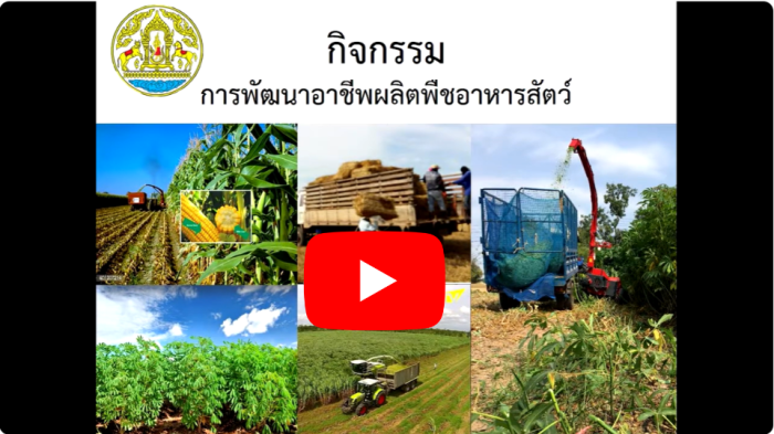 การพัฒนาอาชีพผลิตพืชอาหารสัตว์