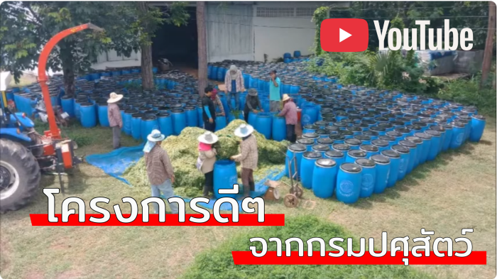 โครงการดีดีจากกรมปศุสัตว์(สำนักพัฒนาอาหารสัตว์)