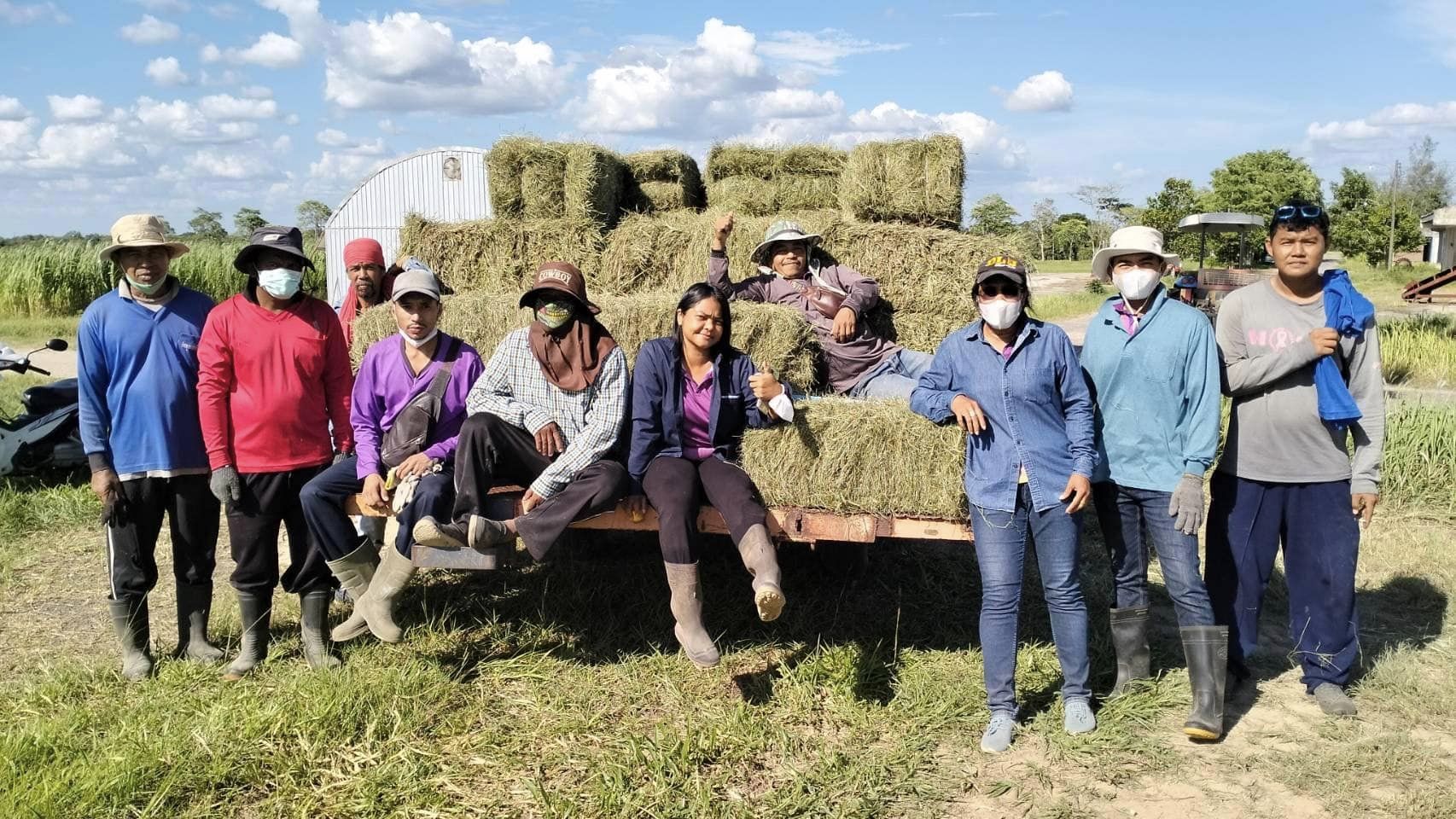 ศมอ.นำส่งเสบียงสัตว์ (หญ้าแพงโกลาแห้ง)โครงการคลังเสบียงสัตว์ประจำตำบล ปีงบประมาณ 2568