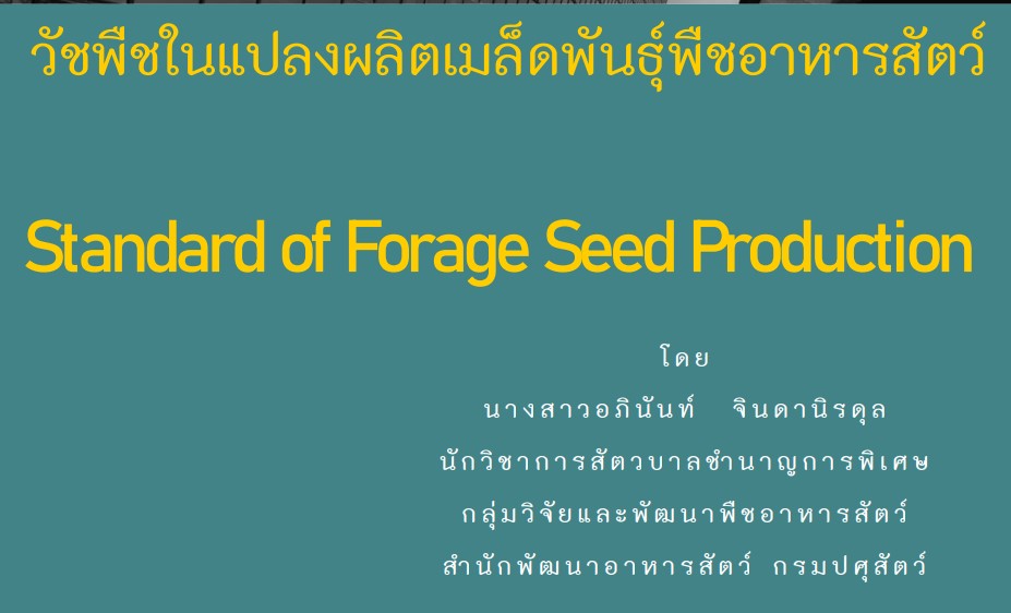 วัชพืชในแปลงผลิตเมล็ดพันธุ์พืชอาหารสัตว์ (อภินันท์ จินดานิรดุล)