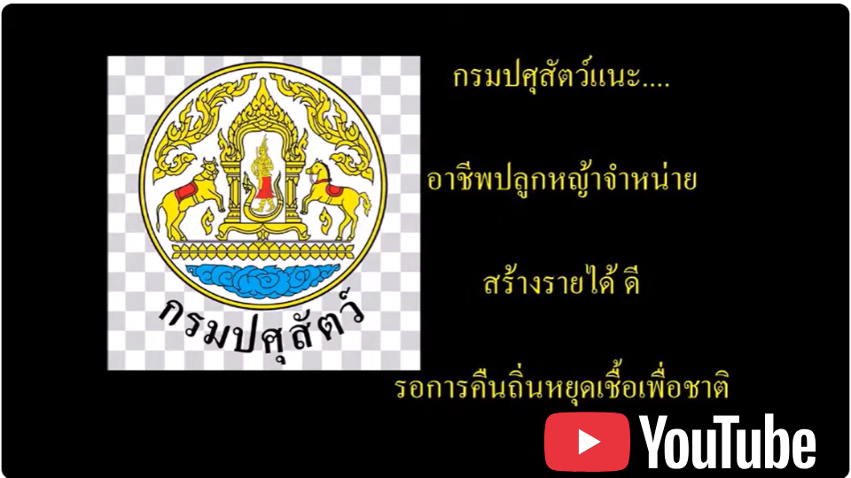 การพัฒนาอาชีพผลิตพืชอาหารสัตว์