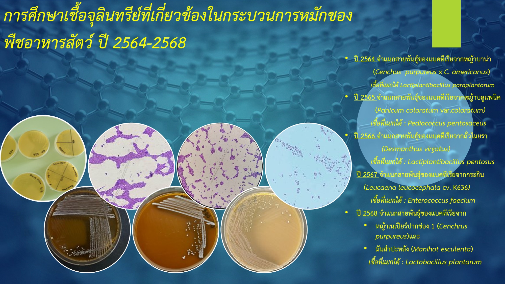 64 68microorganism