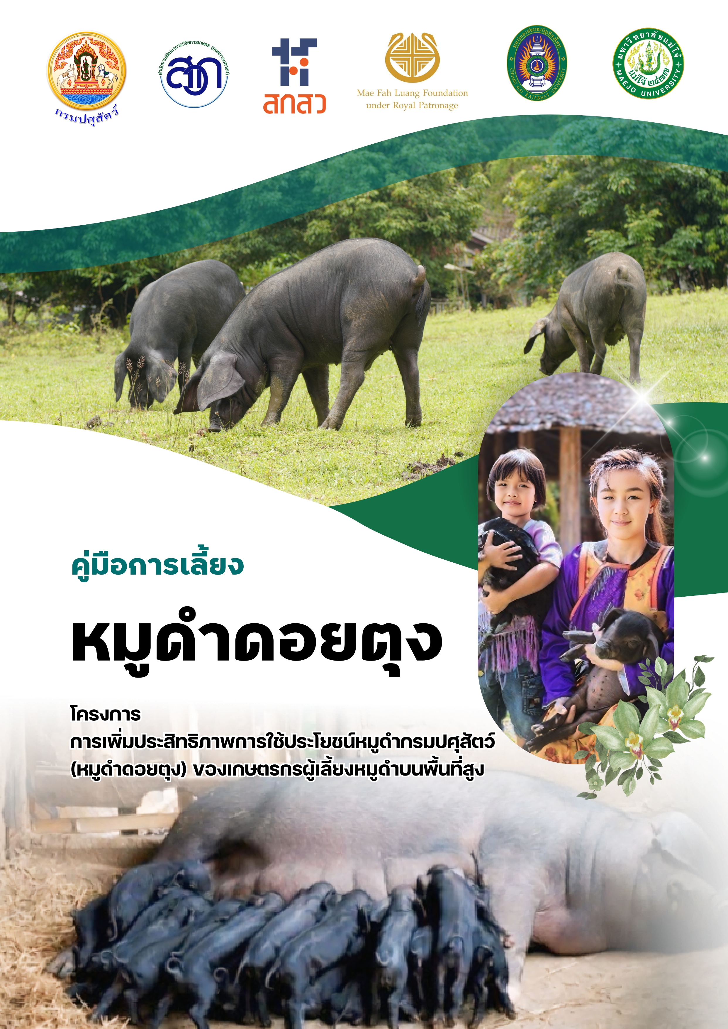 Doi Tung Black Pig cover