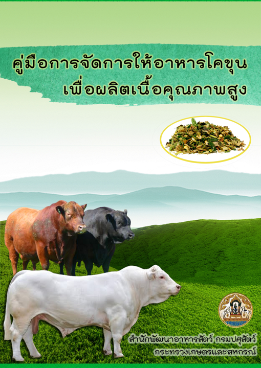 beef vitaya cover