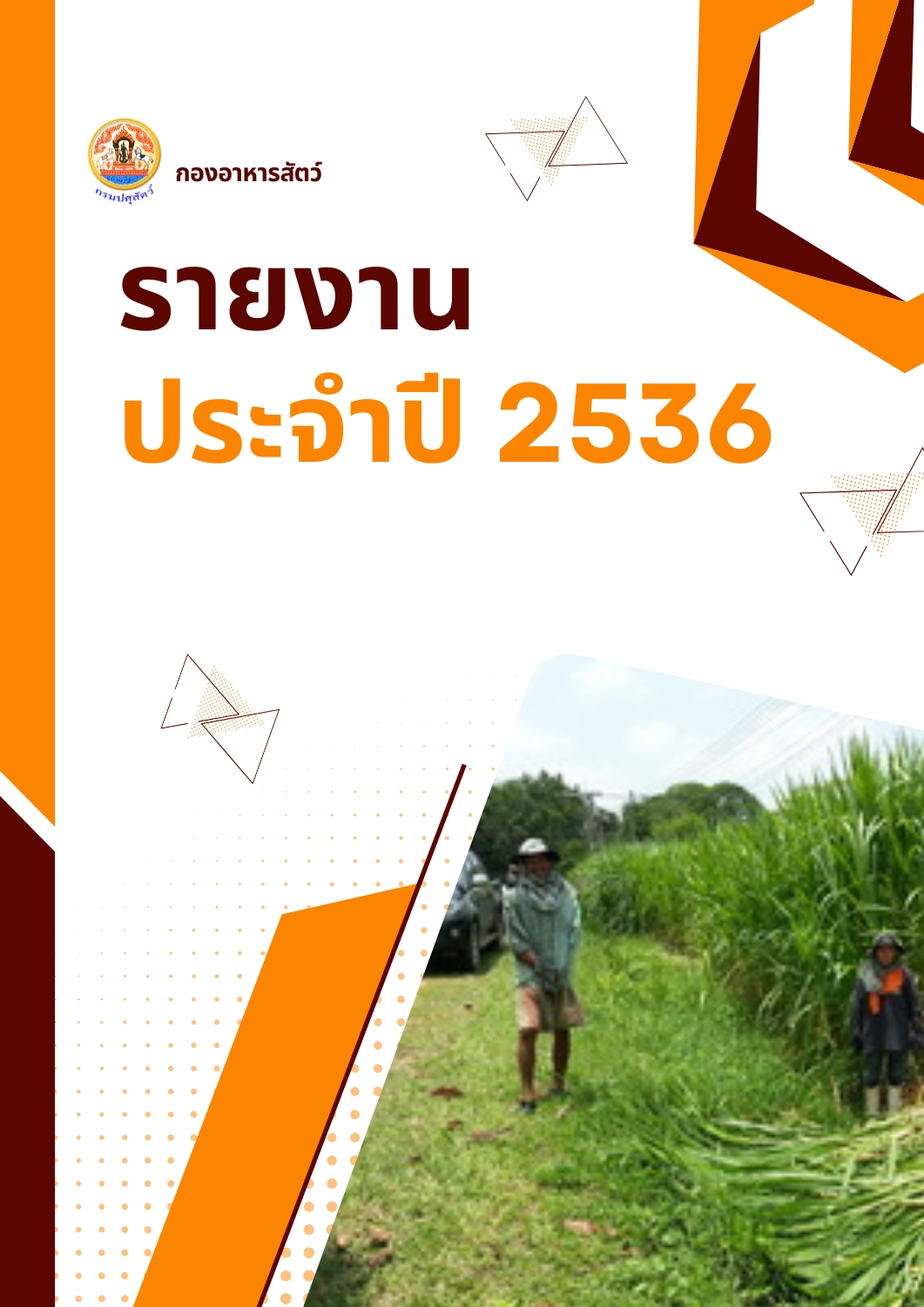 รายงานผลปฏิบัติงานประจำปี 2536