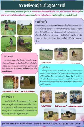 การผลิตหญ้าแห้งคุณภาพดี