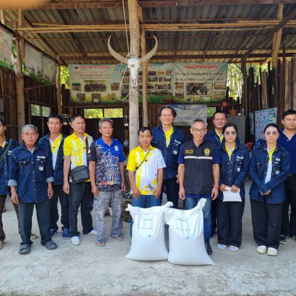 ศวอ.เชียงราย ถ่ายทอดเทคโนโลยีการปลูกพืชอาหารสัตว์และการนำไปใช้ประโยชน์โครงการแปลงพืชอาหารสัตว์ชุมชนยั่งยืน