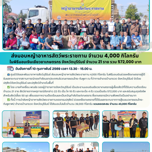 ส่งมอบหญ้าอาหารสัตว์พระราชทาน จำนวน 4,000 กิโลกรัม ในพิธีมอบเงินเยียวยาเกษตรกร จังหวัดบุรีรัมย์