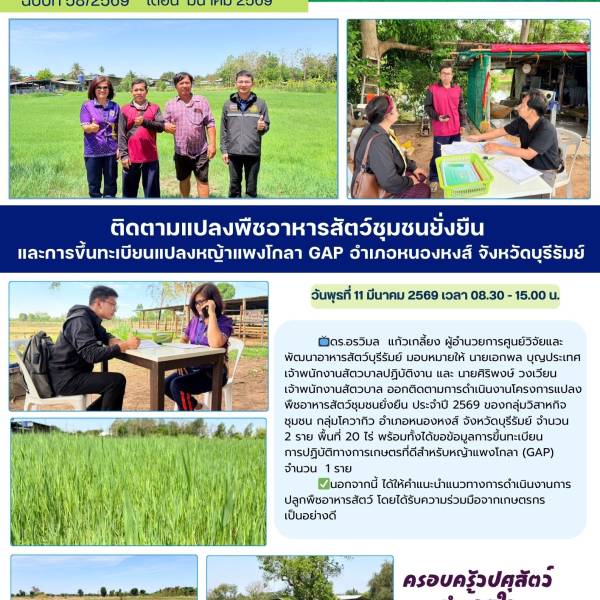 ติดตามแปลงพืชอาหารสัตว์ชุมชนยั่งยืน และการขึ้นทะเบียนแปลงหญ้าแพงโกลา GAP อำเภอหนองหงส์ จังหวัดบุรีรัมย์