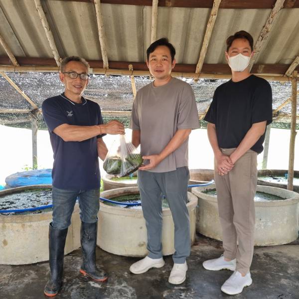 ศวอ.เชียงราย ถ่ายทอดเทคโนโลยีอาหารสัตว์และพืชอาหารสัตว์แก่เกษตรกร กิจกรรมพัฒนาต้นแบบฯ