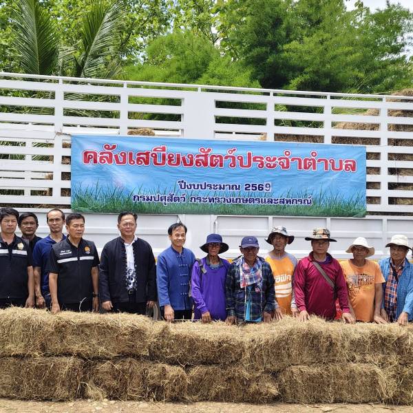ศวอ.เชียงราย ส่งหญ้างคลังเสบียงสัตว์ประจำตำบล ปี 2569
