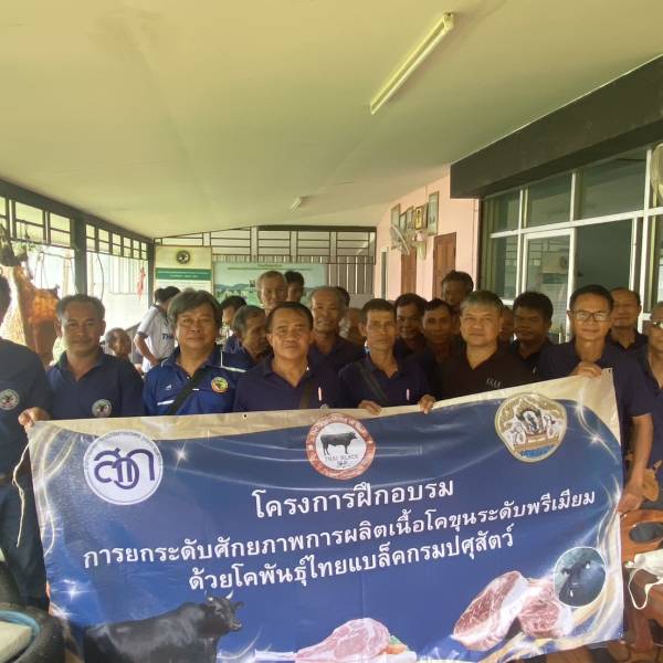 ร่วมจัดอบรมเกษตรกร “โครงการยกระดับศักยภาพการผลิต โคเนื้อโคขุน ระดับพรีเมียม ด้วยโคพันธุ์ไทยแบล๊คกรมปศุสัตว์ ” อ.เขวาสินรินทร์ จ.สุรินทร์