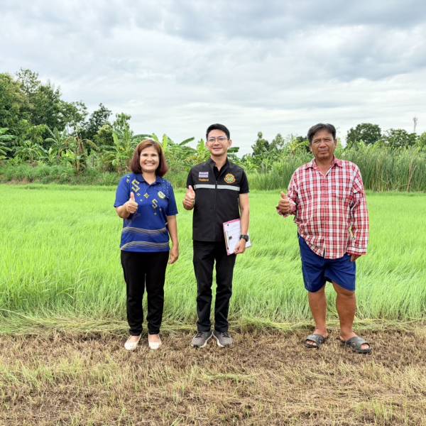 เก็บข้อมูลรายได้เกษตรในกิจกรรมพัฒนาอาชีพผลิตพืชอาหารสัตว์  พื้นที่อำเภอหนองหงส์ และอำเภอหนองกี่ จังหวัดบุรีรัมย์