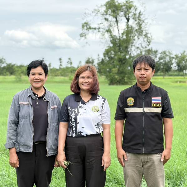 ตรวจรับรองการขอขึ้นทะเบียนแปลงหญ้าแพงโกลา GAP เพื่อขอใบรับรองมาตราฐาน GAP อำเภอหนองหงส์ จังบุรีรัมย์