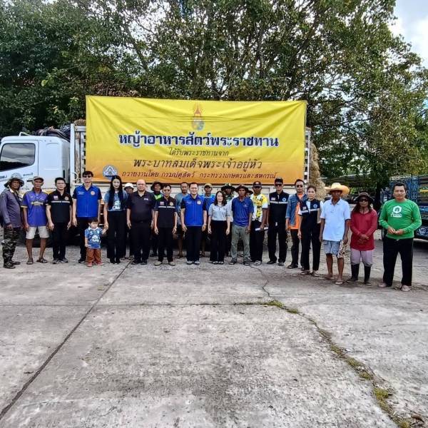 ส่งมอบหญ้าอาหารสัตว์พระราชทาน  ช่วยเหลือเกษตรกรผู้เลี้ยงสัตว์ ที่ได้รับผลกระทบจากอุทกภัย อ.เฉลิมพระเกียรติ จ.บุรีรัมย์