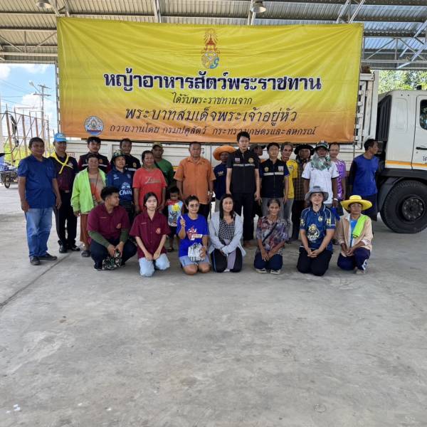 ส่งมอบหญ้าอาหารสัตว์พระราชทาน  ช่วยเหลือเกษตรกรผู้เลี้ยงสัตว์ ที่ได้รับผลกระทบจากอุทกภัย อ.นางรอง จ.บุรีรัมย์