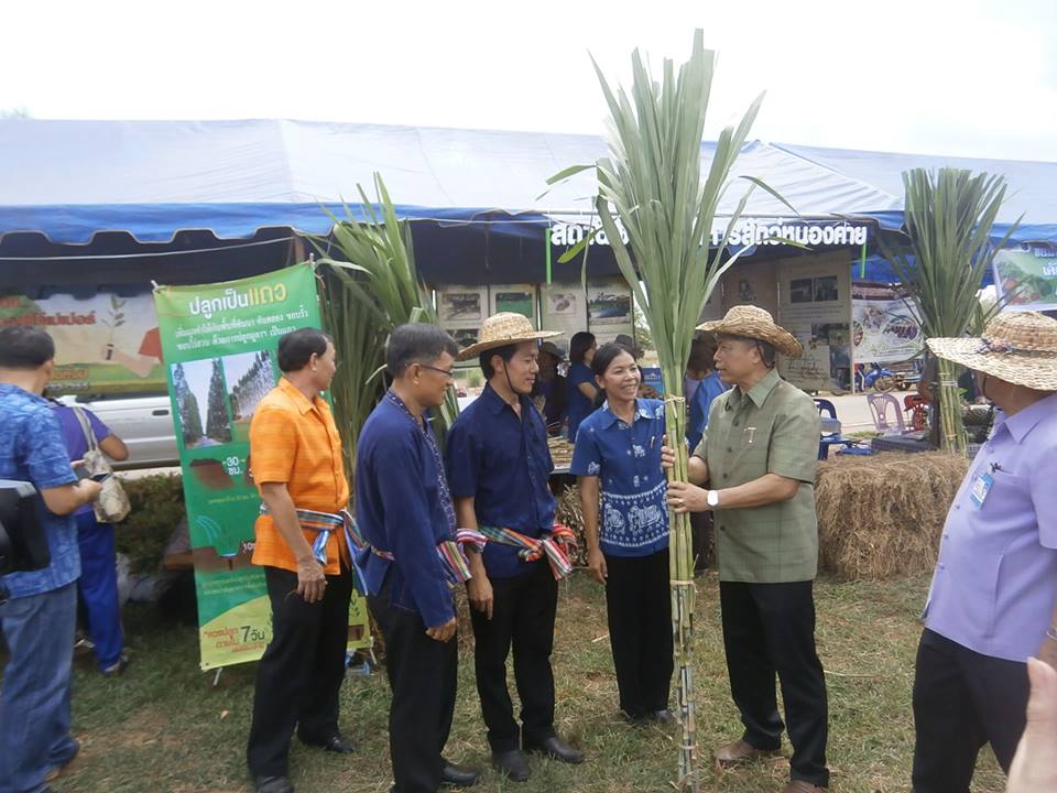 กระบวนการให้บริการจำหน่ายแจกจ่ายพันธุ์พืชอาหารสัตว์